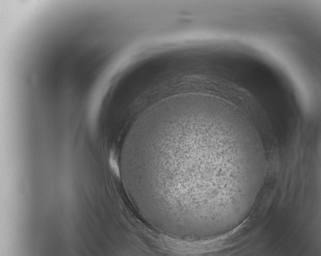 X0000059800047200510281650