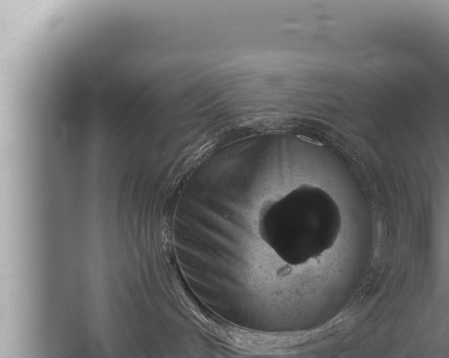 X0000059800048200510281650