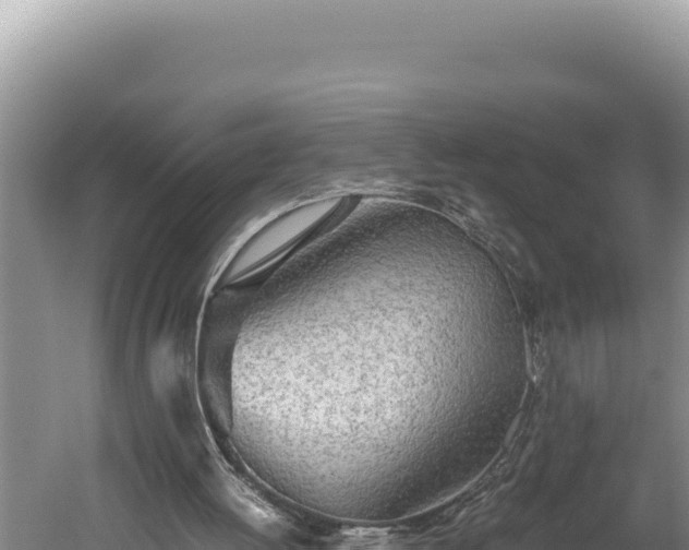 X0000059800052200510281649