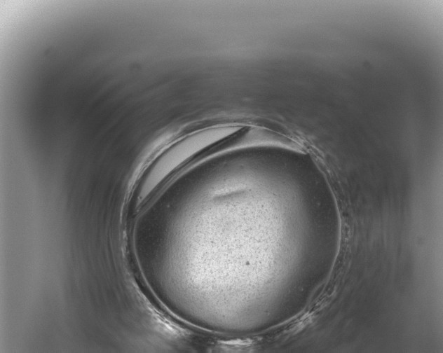 X0000059800053200510281649