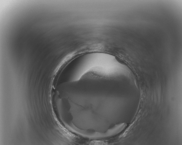 X0000059800054200510281649