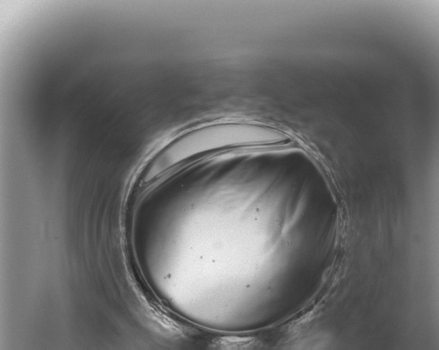 X0000059800055200510281649