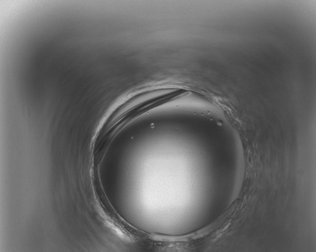 X0000059800056200510281649