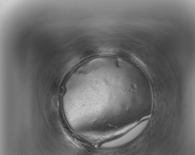 X0000059800059200510281650