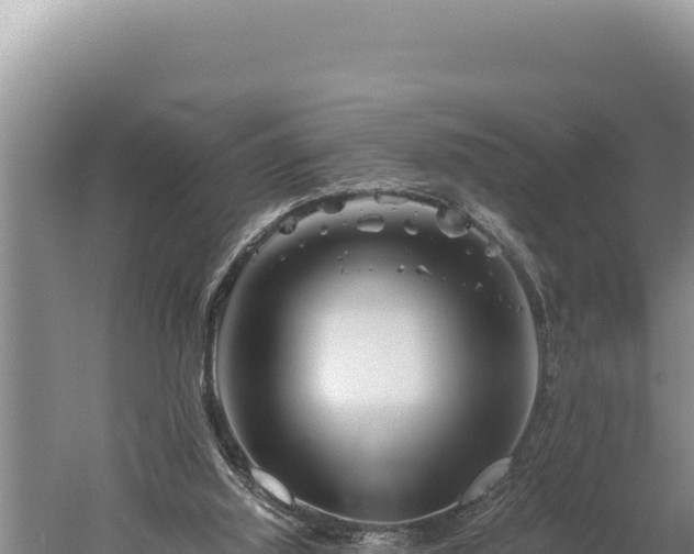 X0000059800060200510281650