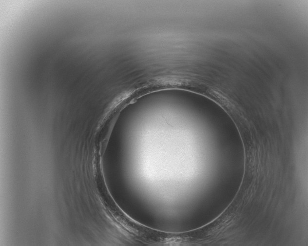 X0000059800064200510281650