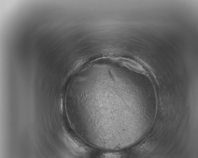 X0000059800067200510281650