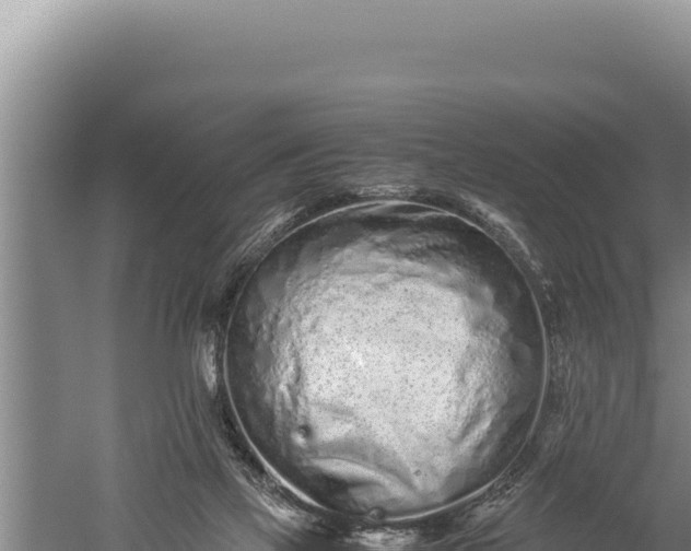 X0000059800069200510281650