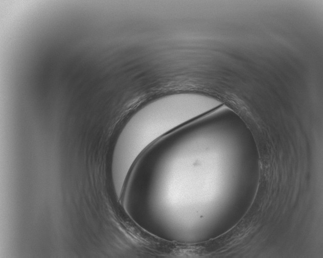 X0000059800072200510281650