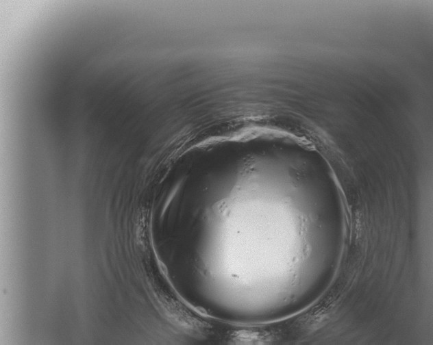 X0000059800073200510281650