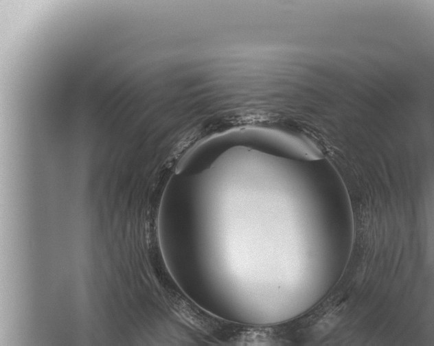 X0000059800080200510281650