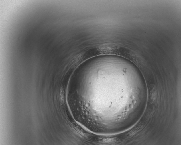 X0000059800081200510281650