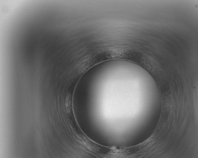 X0000059800082200510281650