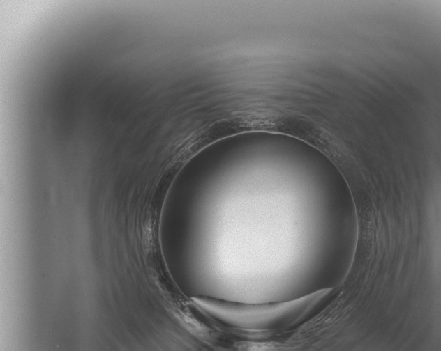 X0000059800084200510281650