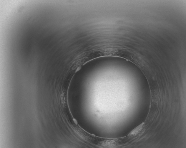 X0000059800086200510281650