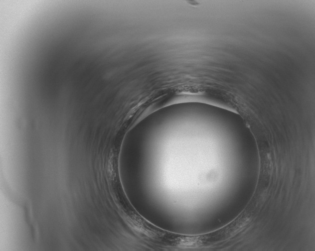 X0000059800088200510281650