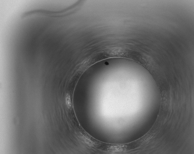 X0000059800089200510281650