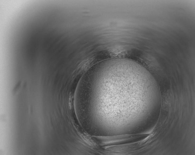 X0000059800090200510281650