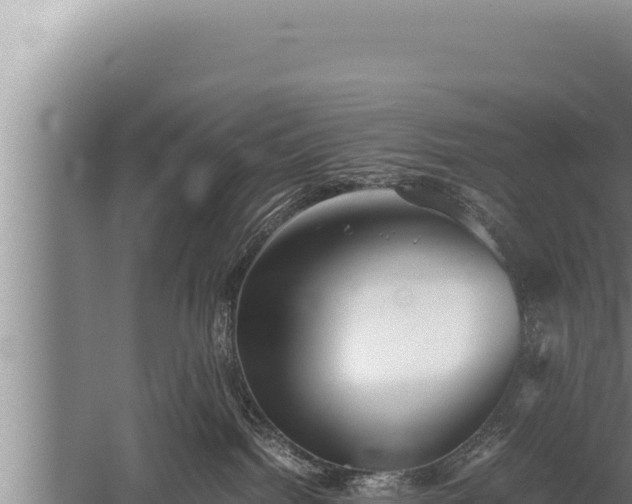 X0000059800092200510281650