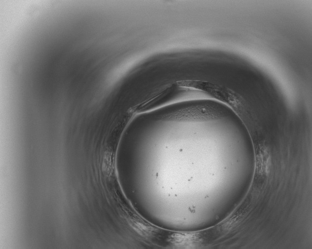 X0000059800093200510281650