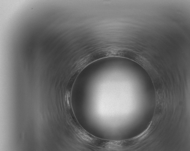 X0000059800094200510281650