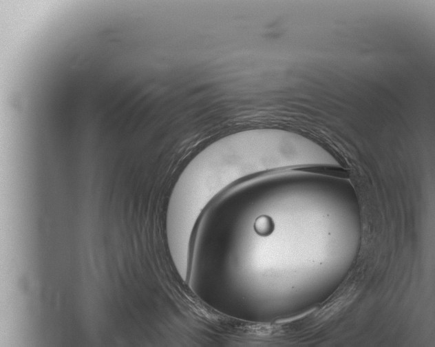 X0000059800096200510281650