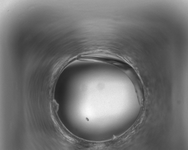 X0000059800097200510281649