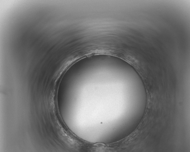 X0000059800098200510281649