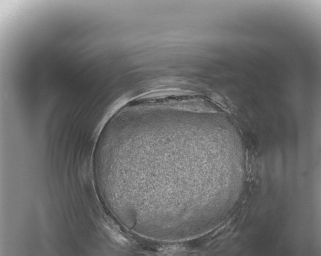 X0000059800099200510281649