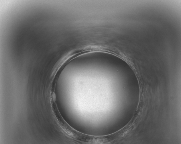 X0000059800103200510281649