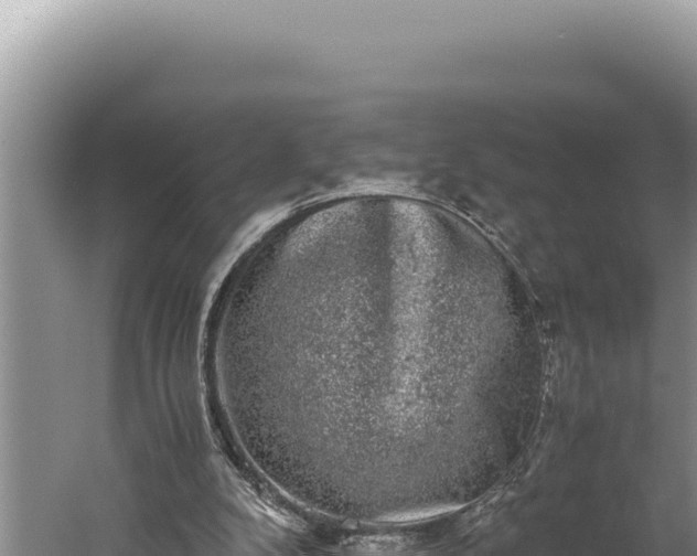 X0000059800104200510281649