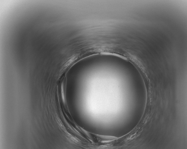 X0000059800105200510281649