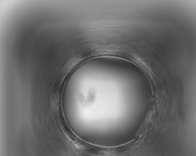 X0000059800107200510281649