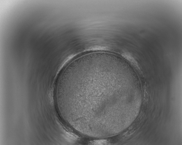 X0000059800108200510281649