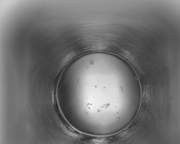 X0000059800110200510281649