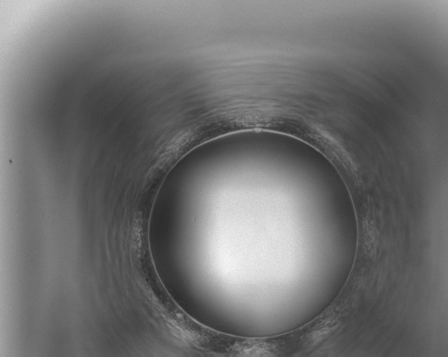 X0000059800113200510281649