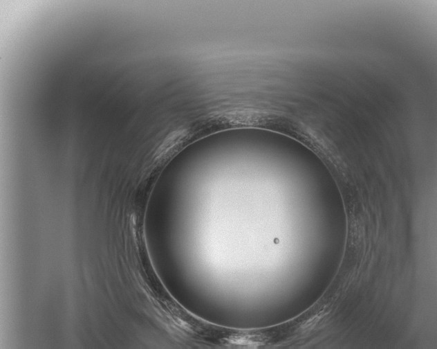 X0000059800117200510281649