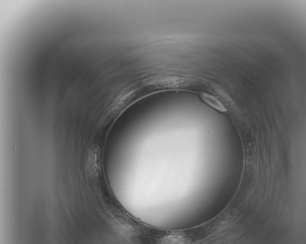 X0000059800119200510281649