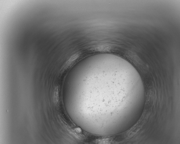 X0000059800120200510281649