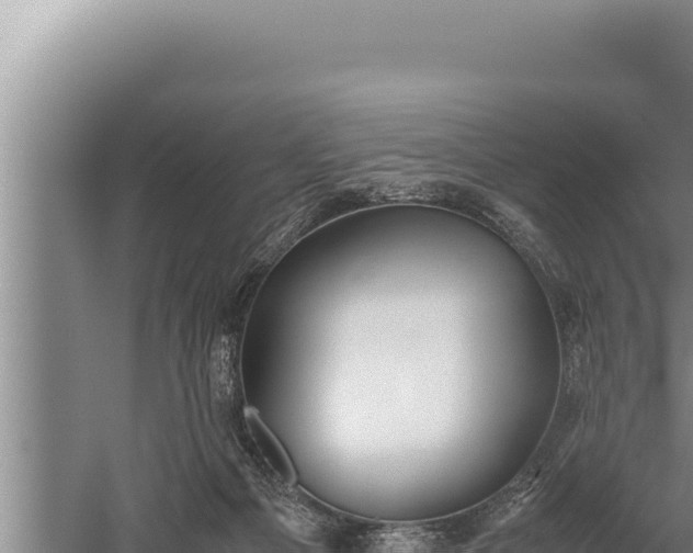 X0000059800121200510281649