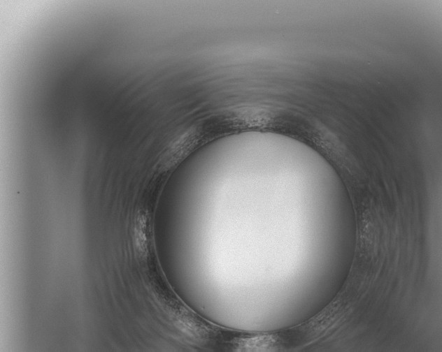 X0000059800122200510281649