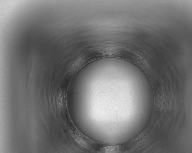 X0000059800126200510281649