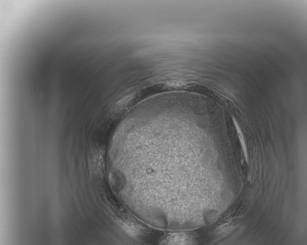 X0000059800127200510281649