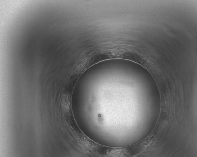 X0000059800129200510281649