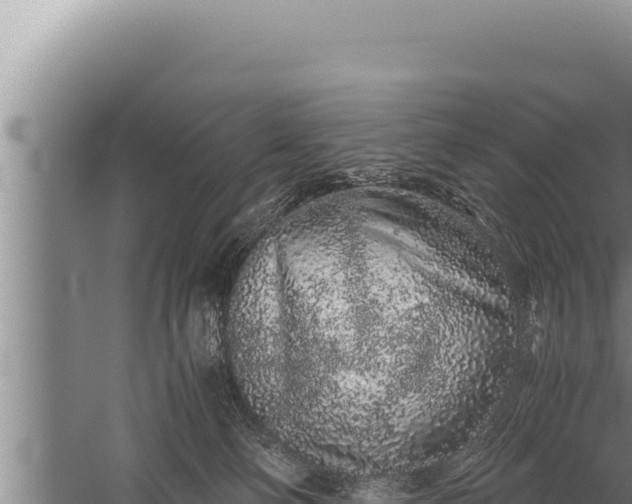 X0000059800130200510281649