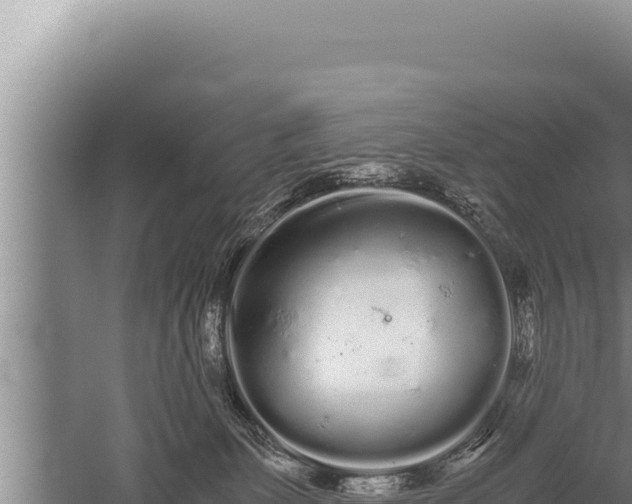 X0000059800131200510281649