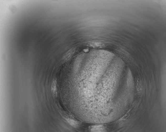 X0000059800132200510281649