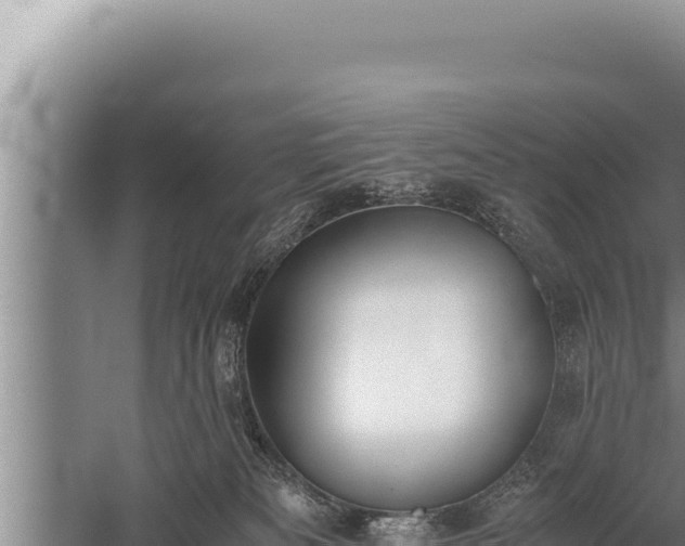 X0000059800133200510281649