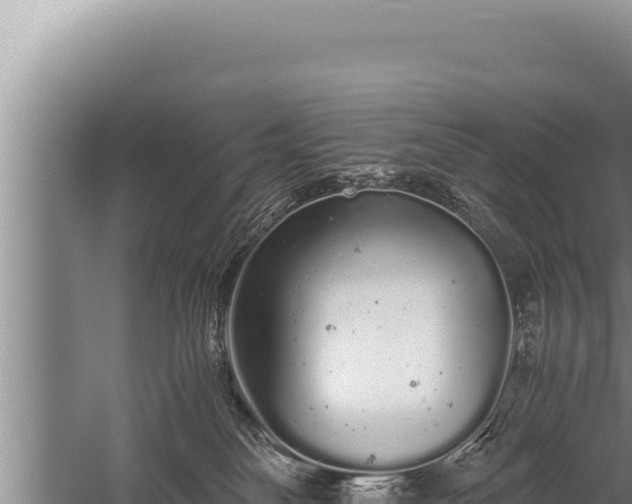 X0000059800134200510281649