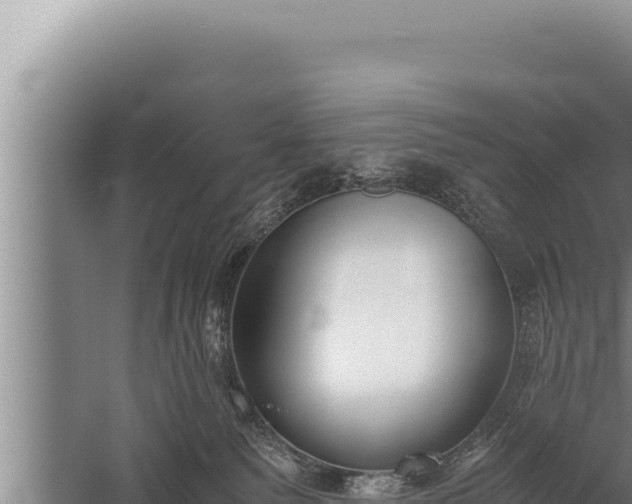 X0000059800135200510281649